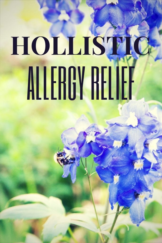 Holistic Remedies For Allergy Relief