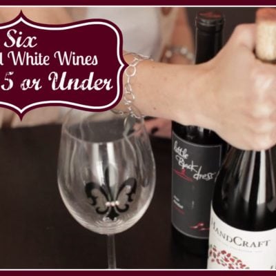 Wine Tasting: 6 Amazing Red & White Wines for $15 or Under