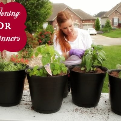 How To Plant A Vegetable Garden (for Beginners)