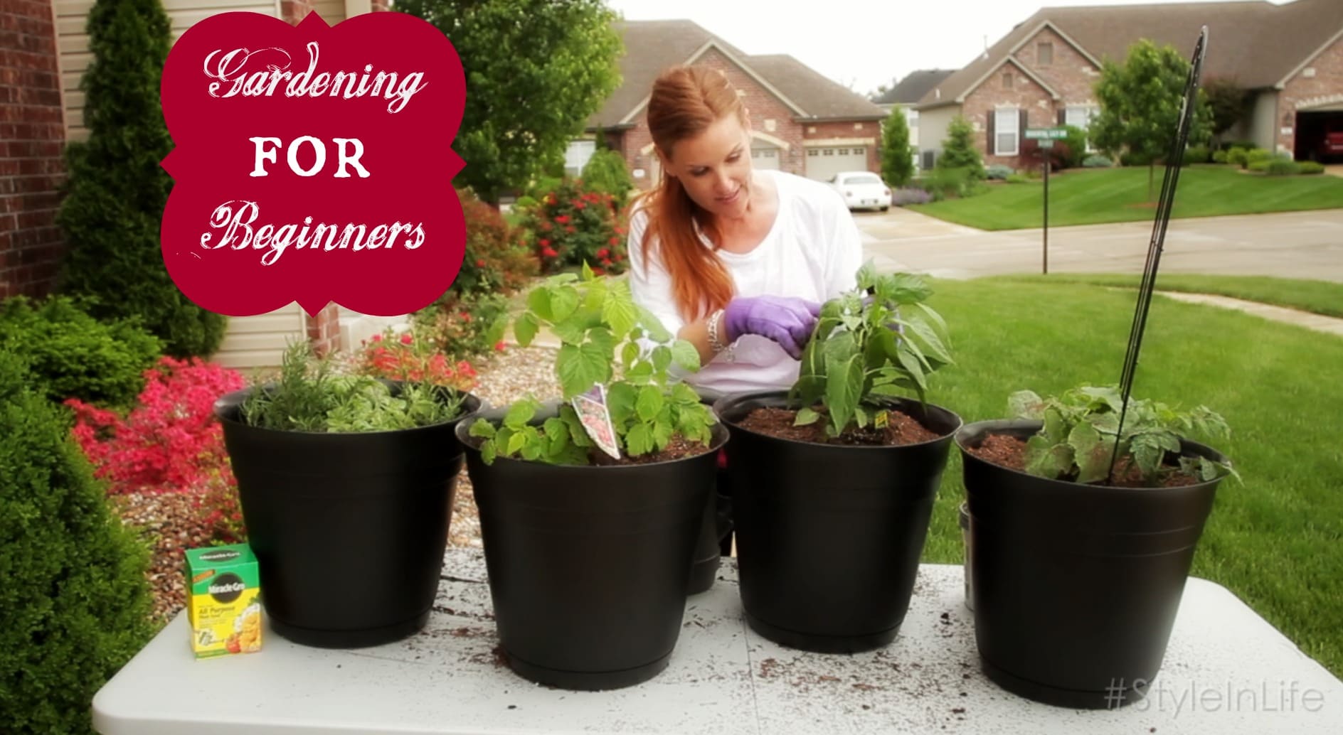 Planting a Vegetable Garden (for Beginners)