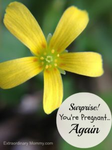 Surprise! You’re Pregnant…Again