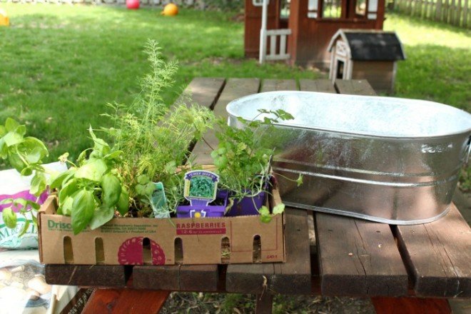 Creating your very own Kitchen Herb Garden with little effort! 