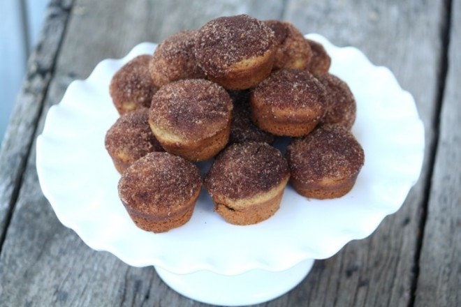 Cinnamon Sugar Breakfast Muffins