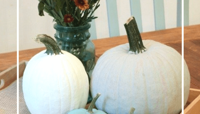 DIY Chalk Painted Pumpkins For Fall