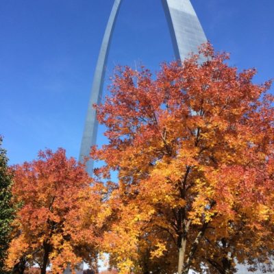 Explore St. Louis: 10 Things You Must Do in St. Louis