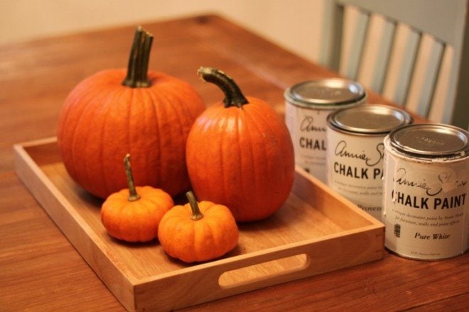 DIY Chalk Painted Pumpkins - easier than you think! 