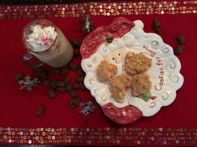 Santa Cookies and Milkshake