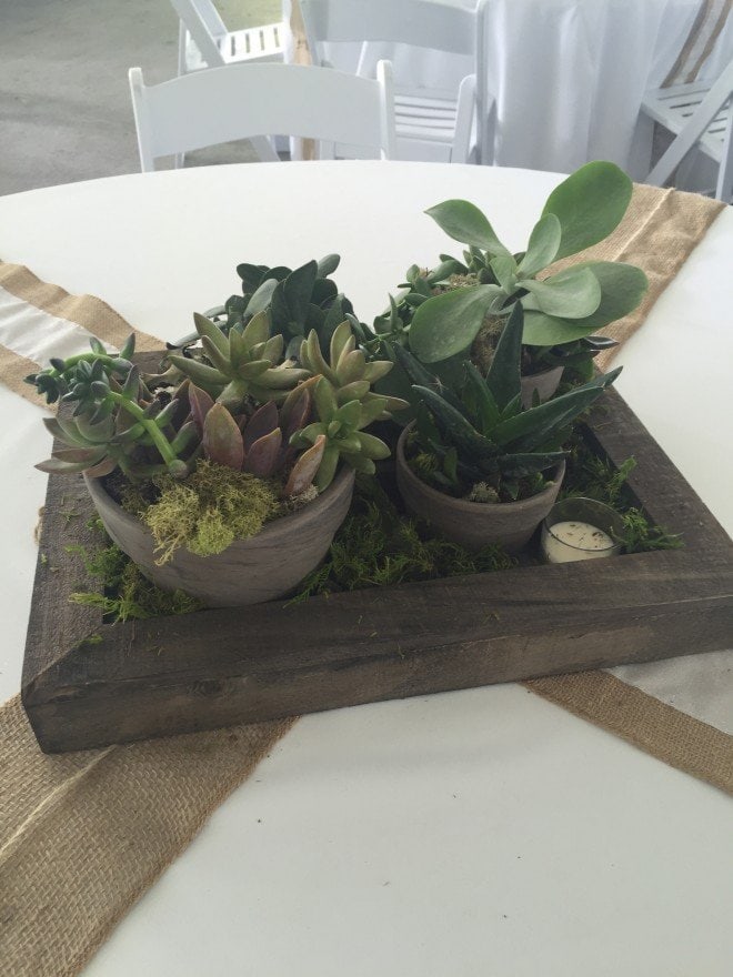 Mom2BeShower_Succulent Centerpieces2