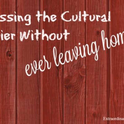Kids and Culture: Crossing the Cultural Barrier Without Ever Leaving Home