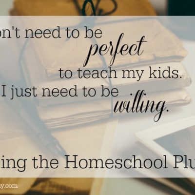 Taking the Homeschool Plunge