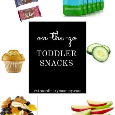 Toddler Snacks for Moms On The Go