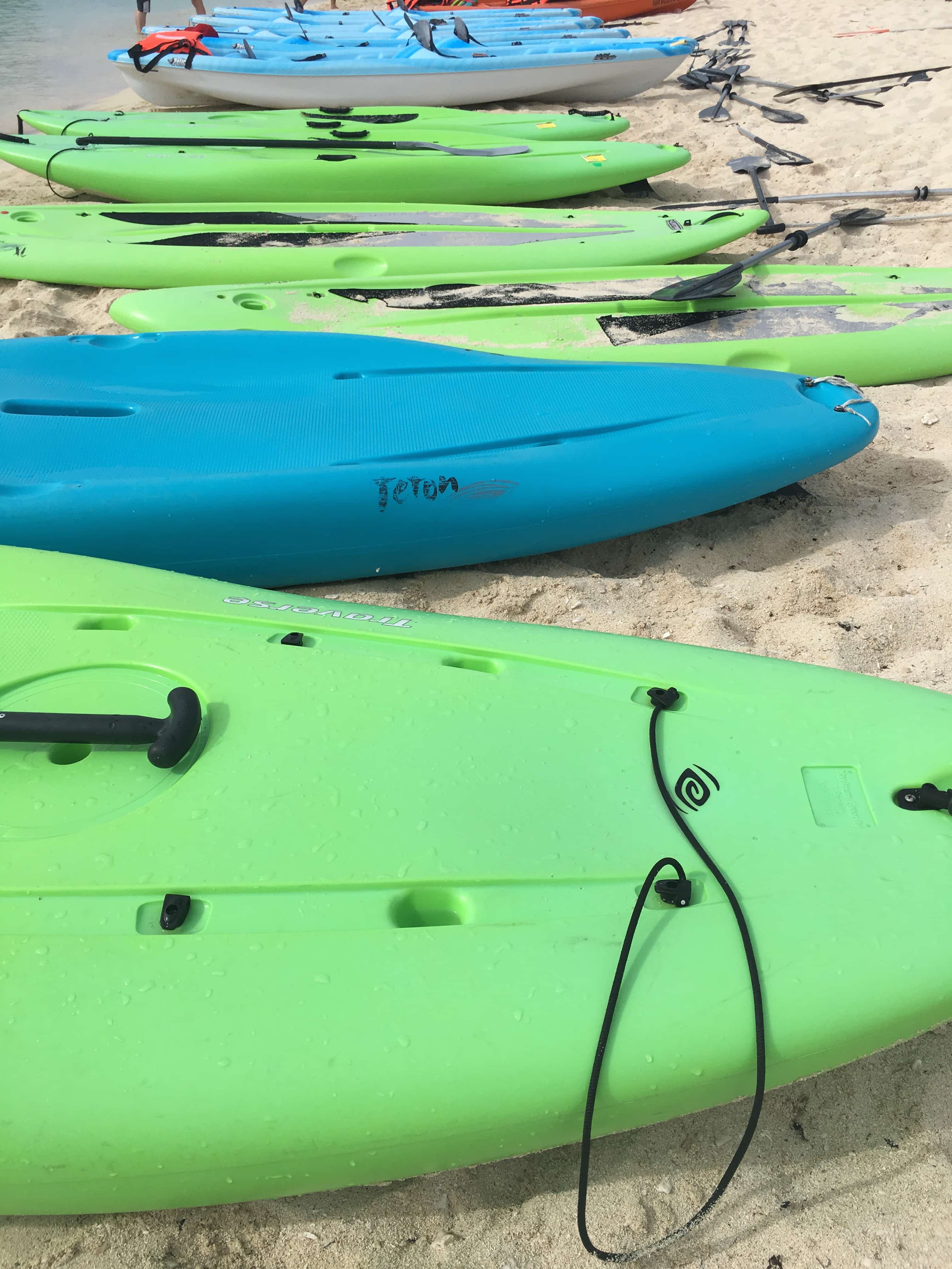 9 Reasons Cruising the Carnival Magic Good for Adults - Cozumel Paddleboard