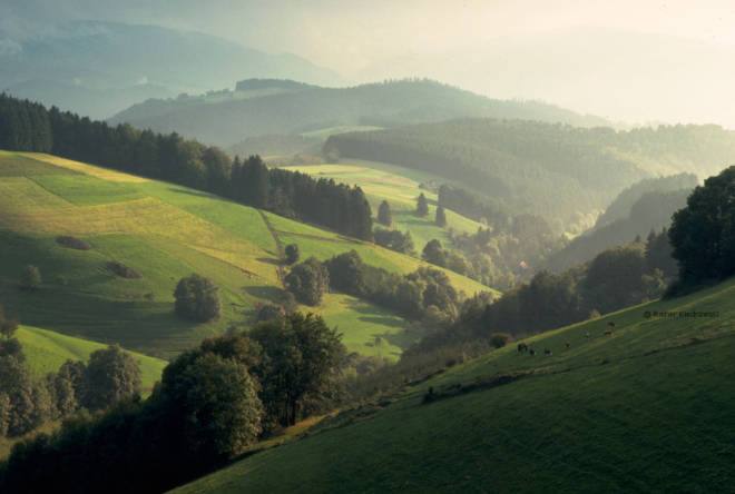 Planning A Road Trip through the Alps: Germany Black Forest