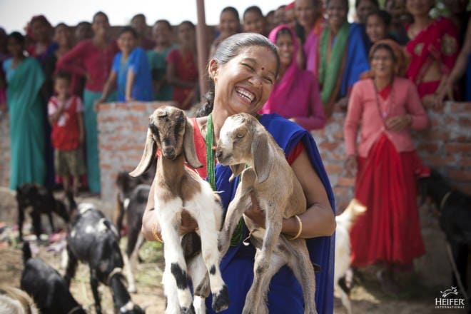 Teaching Children the Beauty of Giving: Gifts from Heifer International