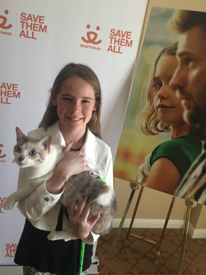 A Los Angeles Experience: #GiftedMovie Premiere - Delaney and Captain America Cat