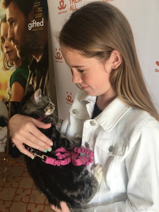 A Los Angeles Experience: #GiftedMovie Premiere - Delaney and Captain America Cat