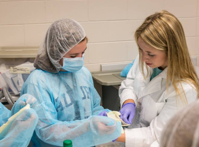 Making Dreams Come True: Win a Scholarship to Veterinarian Camp for Teens and Tweens