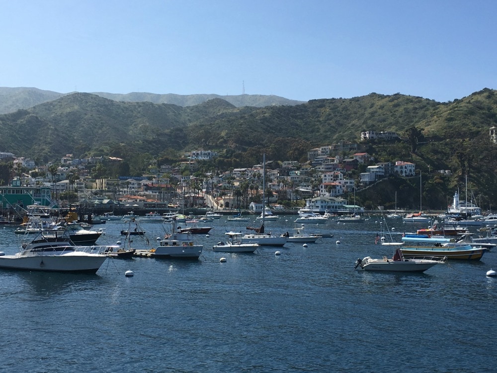 5 Reasons to Book a Carnival Cruise out of Los Angeles - Catalina Island
