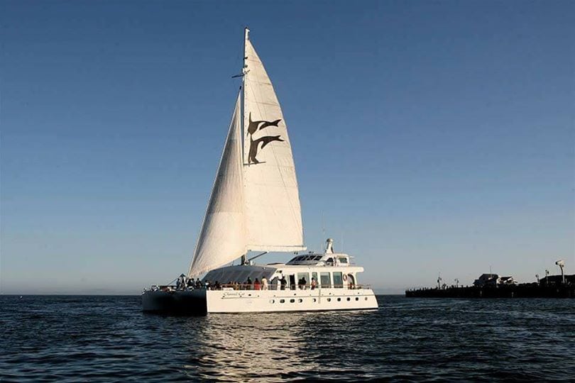 Sunset Dinner Cruise in Santa Barbara