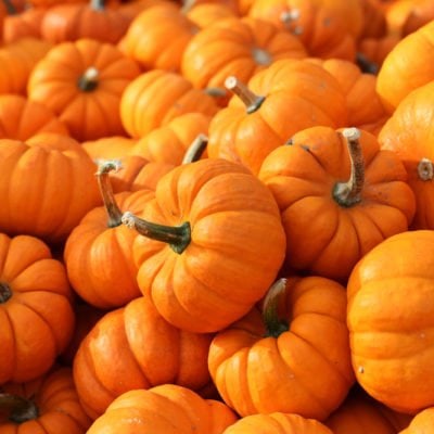 The Power of Pumpkin in Your Diet