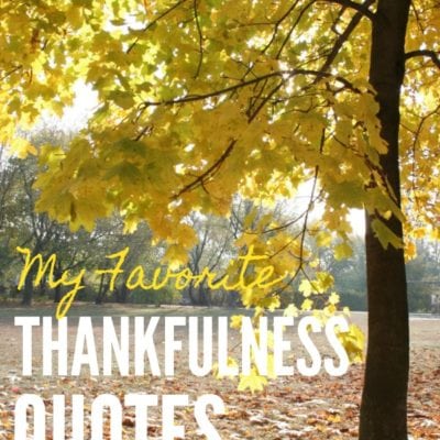 20 Thankfulness Quotes to Keep You Centered During a Hectic Holiday Season