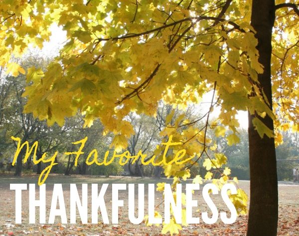 20 Thankfulness Quotes to Keep You Centered During a Hectic Holiday Season // PrettyExtraordinary.com