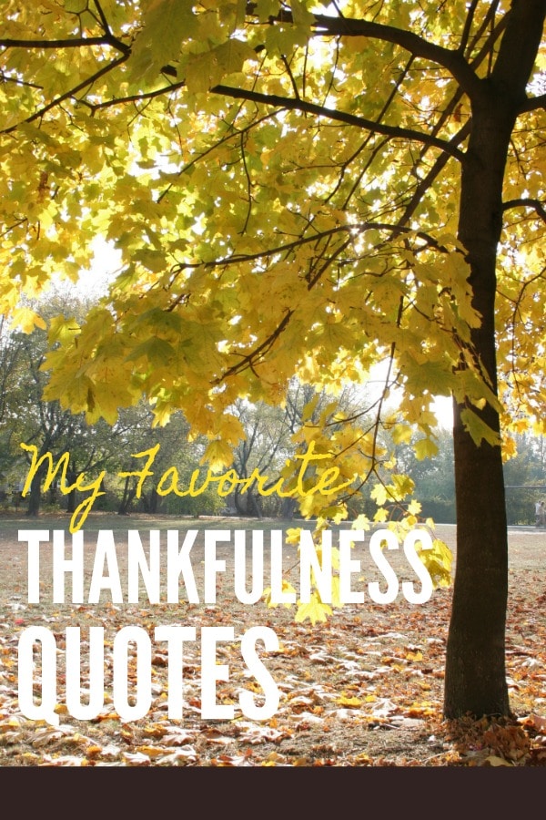 20 Thankfulness Quotes to Keep You Centered During a Hectic Holiday Season // PrettyExtraordinary.com