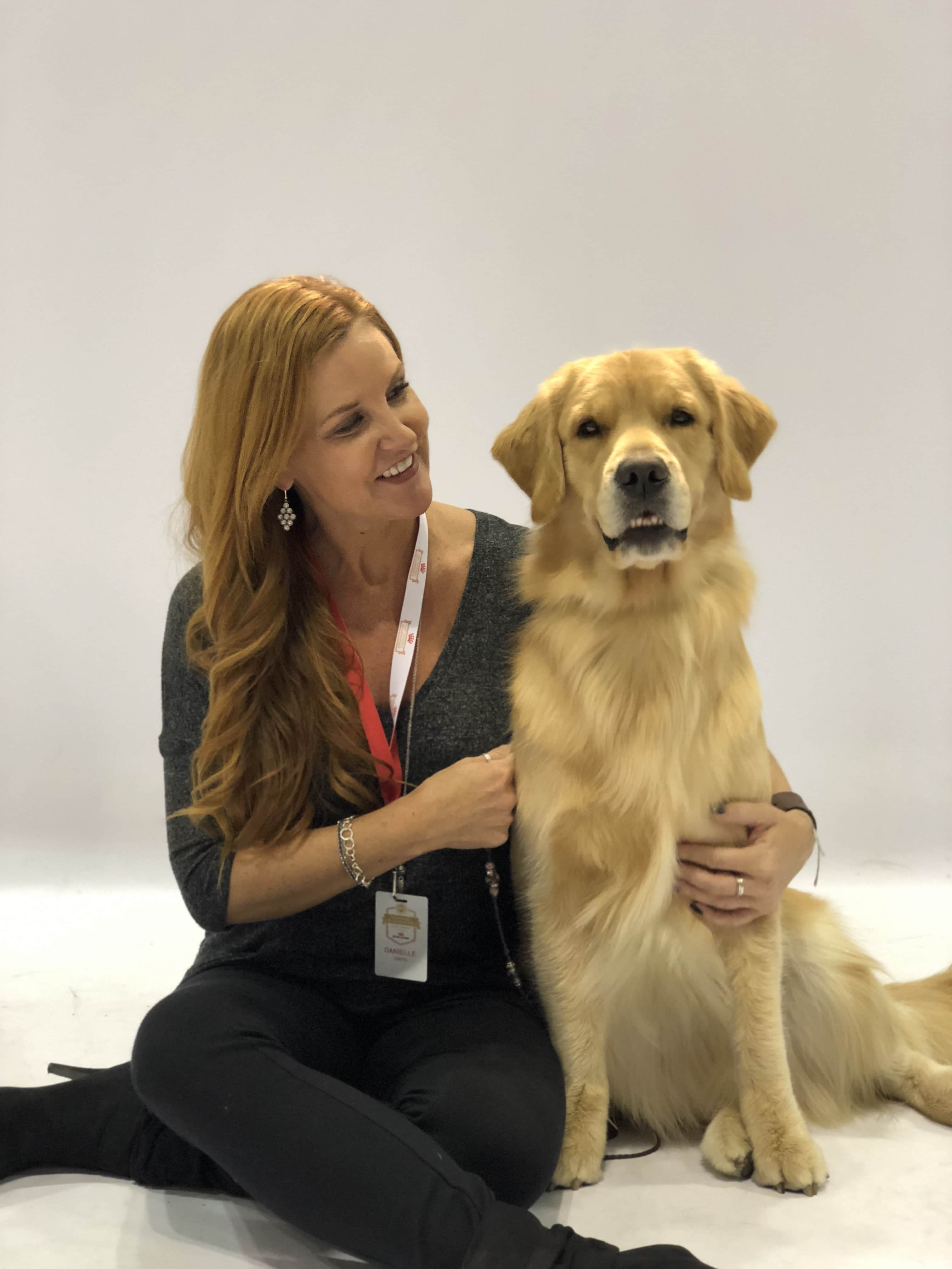 An Insider's Guide to the American Kennel Club Dog Show - Best in Show - Golden Retriever - Bree