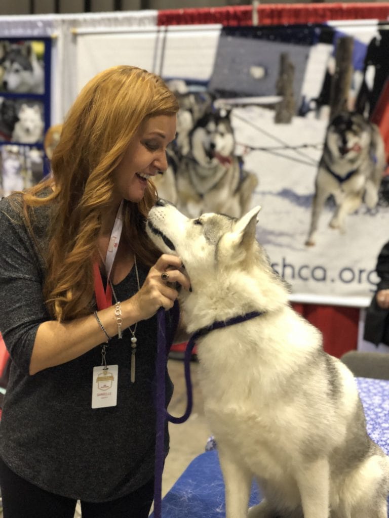 An Insider's Guide to the American Kennel Club Dog Show: Siberian Husky - Lilly