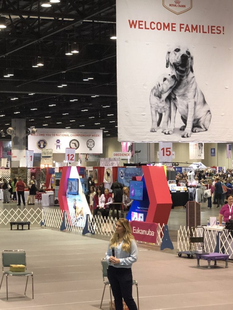 An Insider's Guide to the American Kennel Club Dog Show: Megan Levey