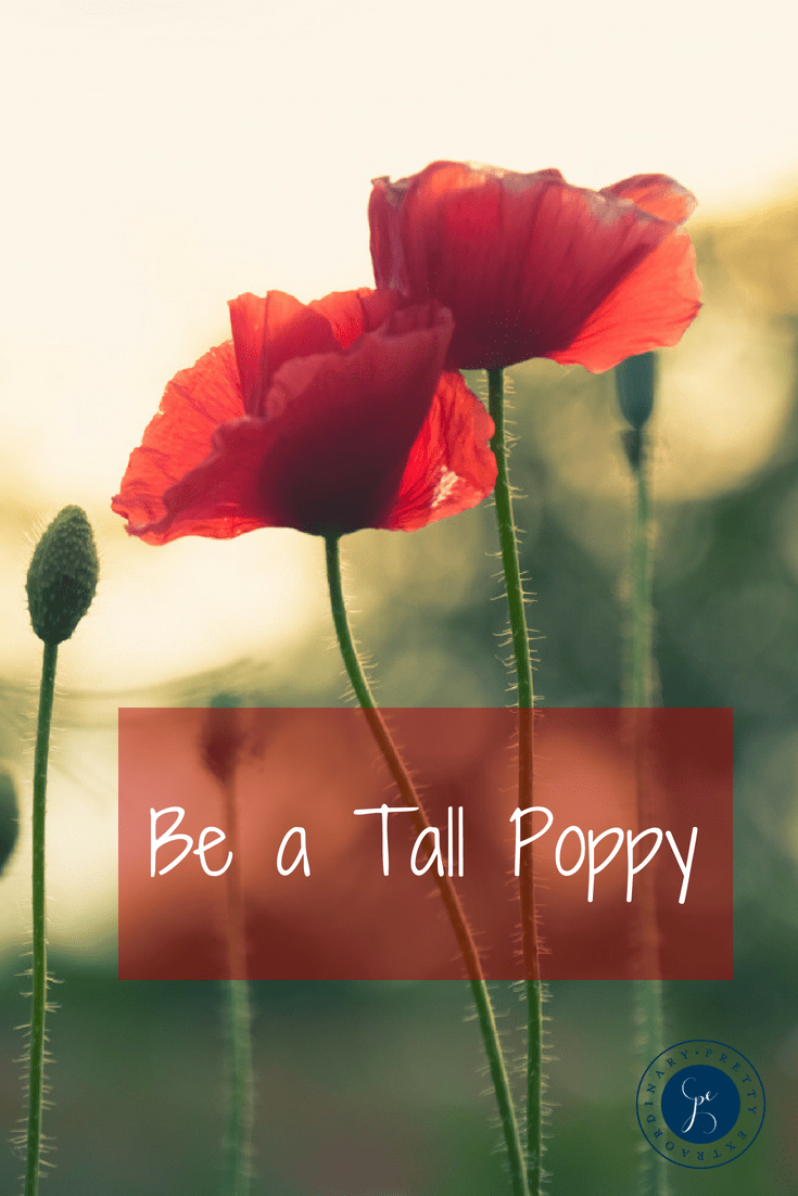 Be a Tall Poppy - Tall Poppy Syndrome