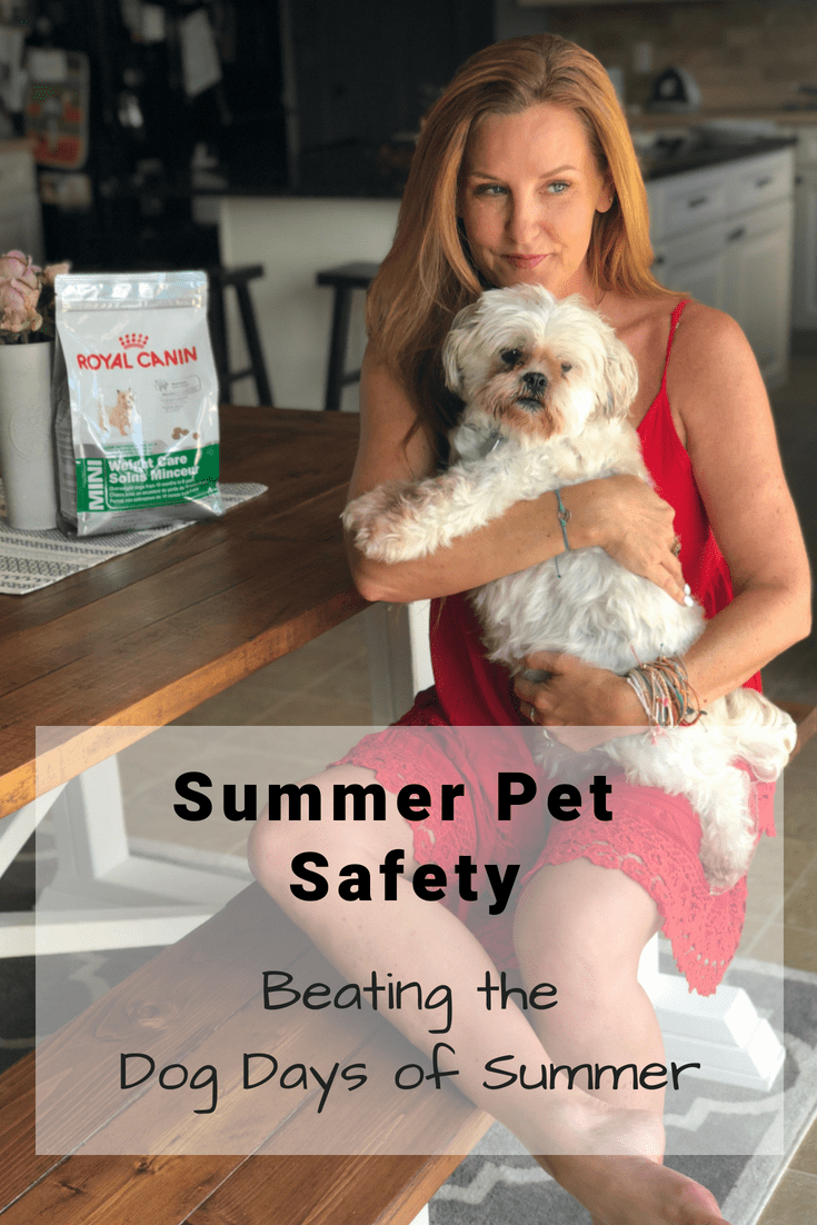 Summer Pet Safety: Beating the Dog Days of Summer