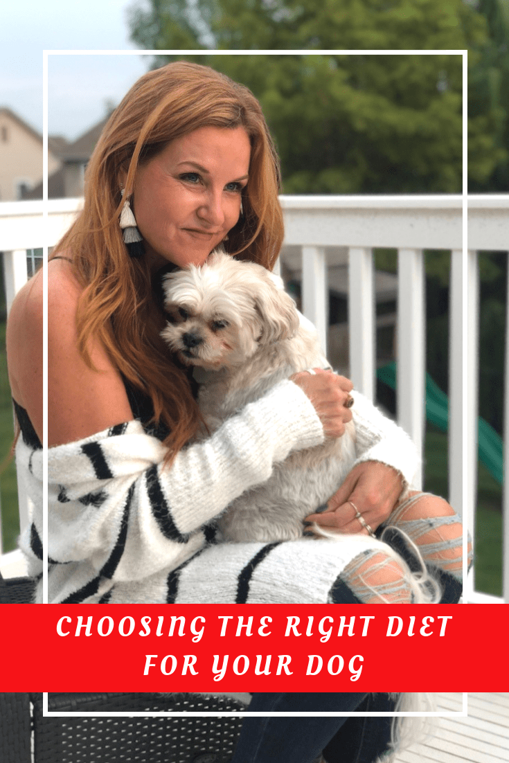 How to Choose the Right Diet for Your Dog