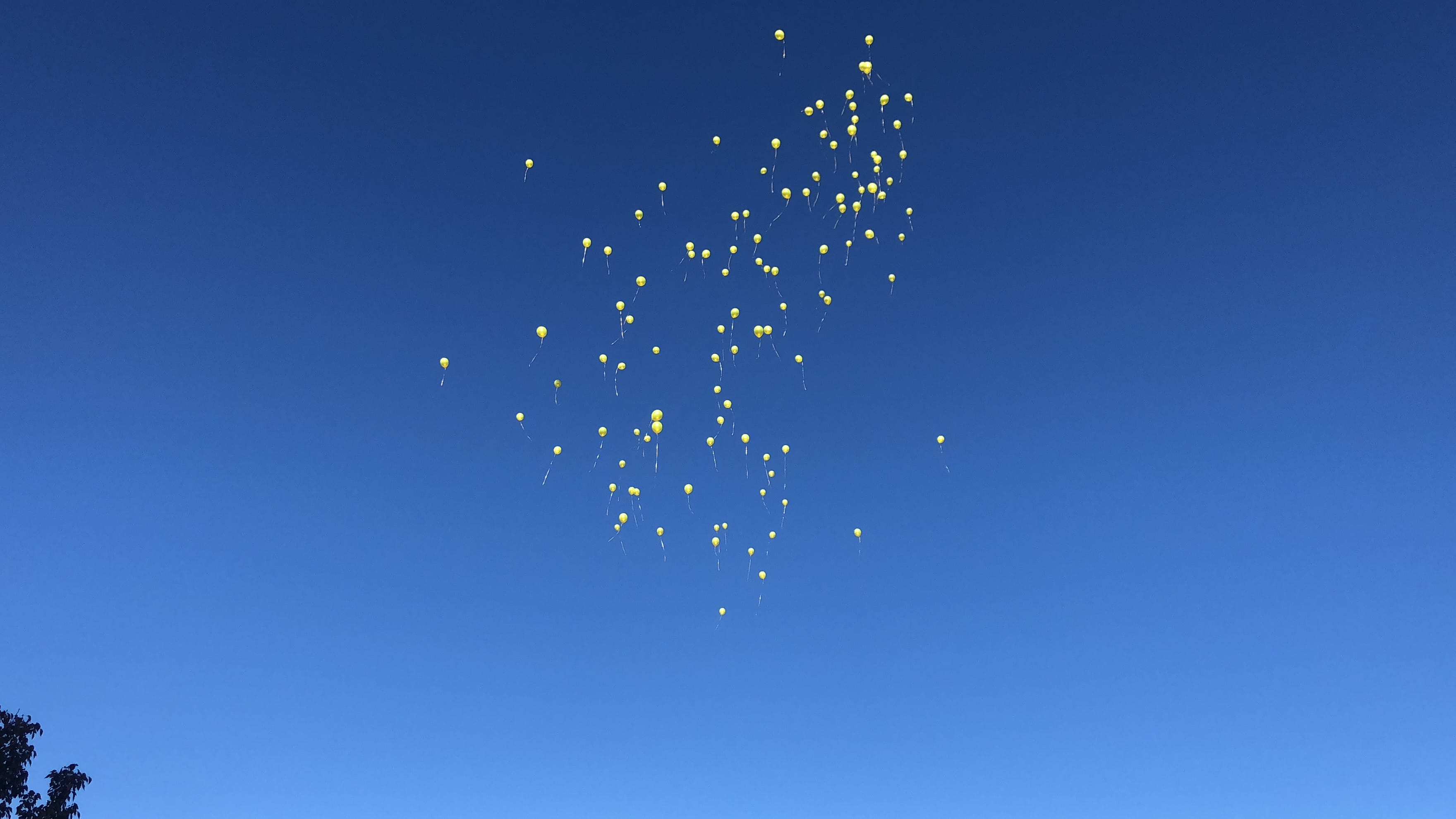 The Color of Heartbreak is Yellow: On the Loss of a Friend - Balloon Releaes